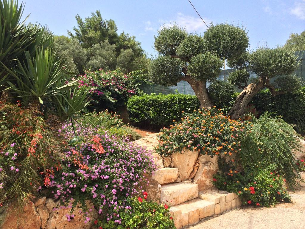 B&B All'Ombra Degli Ulivi Ostuni Exterior foto